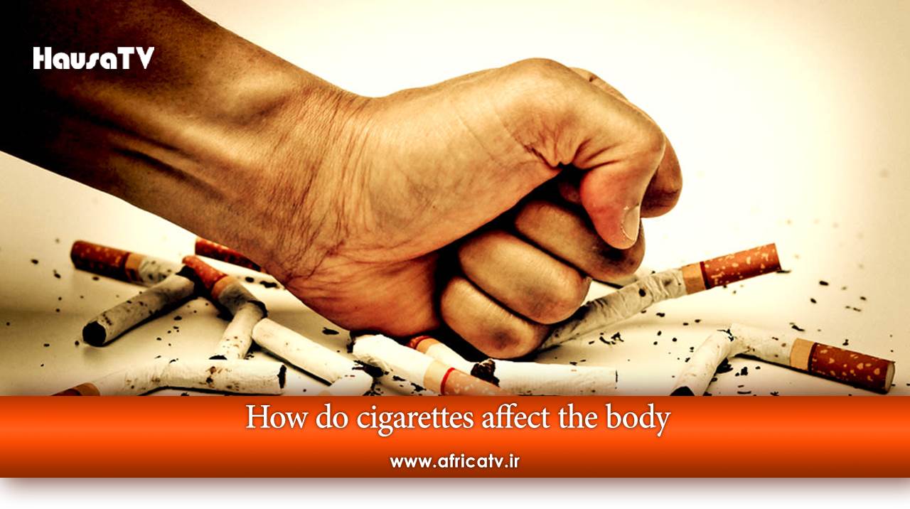 How do cigarettes affect the body Urmedium